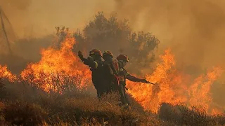 Feuerwehr kämpft gegen großen Waldbrand auf Kreta