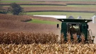 CORN Farmers are battling corn surplus