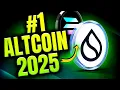 SUI or Solana SOL - Which Will DOMINATE the 2025 Altcoin Rally?