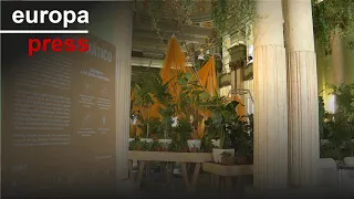 El Círculo de Bellas Artes crea un refugio climático con siestódromo y espacios vegetales