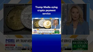 PLATFORM GRP AG INH O.N. Trump Media group reportedly in talks to buy crypto payment platform #shorts