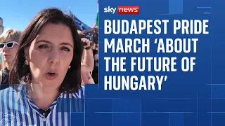 Budapest&#39;s banned Pride march also about the future of Hungary