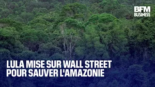 DOW JONES INDUSTRIAL AVERAGE Lula mise sur Wall Street pour sauver l&#39;Amazonie