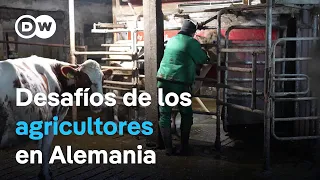 El agricultor Peter Tillmann busca una mujer que comparta con él la vida en la granja