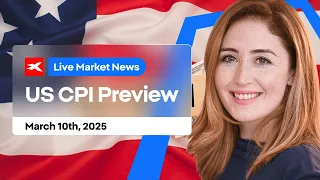 THE MARKET LIMITED Market Volatility &amp; US CPI Preview