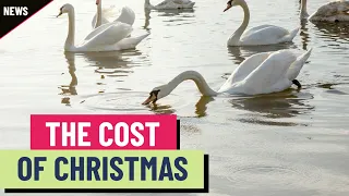 The true cost of the ’12 Days of Christmas’