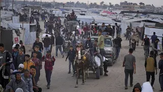 INTERNATIONAL DISTRIBUTION SVCS PLC ADR Aid group halts food deliveries in Gaza after shootings near distribution sites