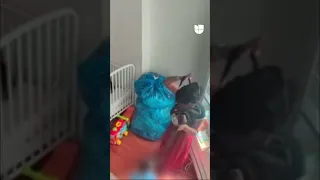 Niñera es sorprendida golpeando a tres menores en Nueva York