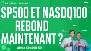 NASDAQ100 INDEX SP500 et NASDAQ100 : Rebond maintenant ?  - 100% Marchés - soir - 20/12/2024