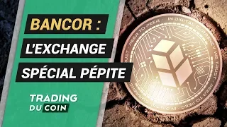 BANCOR ANALYSE BANCOR : L&#39;EXCHANGE SPÉCIAL PÉPITE