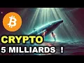 UNE BALEINE FRAPPE FORT : 5 MILLIARDS INJECTÉS DANS LE MARCHÉ CRYPTO !  TOP ACTUS CRYPTO 25/11/2024