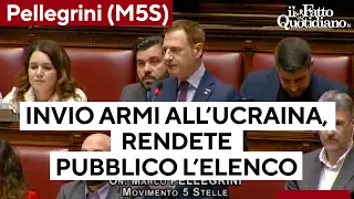 Armi all&#39;Ucraina, Pellegrini (M5S): &quot;Rendete pubblico l&#39;elenco, come tutti gli altri&quot;