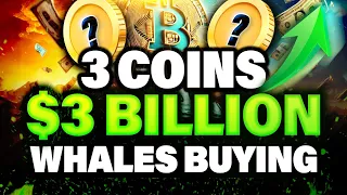 WHALE HEAVY Crypto Whale Accumulation | 2 Altcoins Being Bought on the Dip