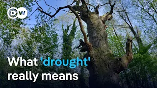 Why drought means more than just &quot;no rain&quot; | DW News