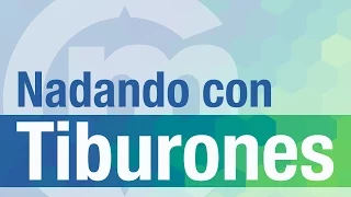 GNOSIS Nadando con tiburones: Lecciones del ICO de Gnosis