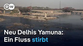 Der Yamuna-Fluss: Einst die Lebensader Neu Delhis, heute verstopft und verdreckt | DW Nachrichten