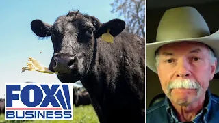 This is hollowing out rural communities across America, cattle industry expert warns
