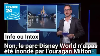 EURO DISNEY Non, le parc Disney World n’a pas été inondé par l’ouragan Milton • FRANCE 24