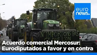 Acuerdo comercial con Mercosur: Eurodiputados a favor y en contra