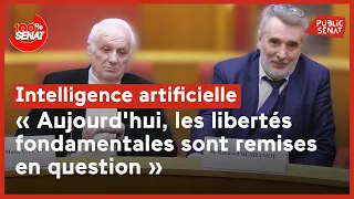 Intelligence artificielle et droits humains