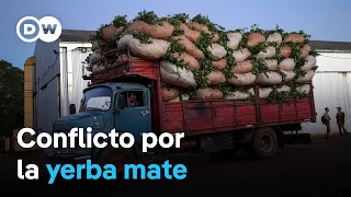 Pequeños agricultores de yerba mate están en huelga