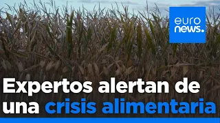 NOBEL Más de 150 premios Nobel y World Food Prize piden un esfuerzo para evitar una crisis alimentaria