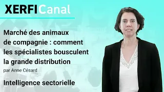 INTERNATIONAL DISTRIBUTION SVCS PLC ADR Marché des animaux de compagnie : les spécialistes défient la grande distribution [Anne Césard]