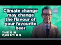 CARLSBERG - Will climate change alter the flavour of your beer? | Carlsberg CEO | The Big Question FULL EPISODE